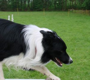 Kopie von DSC09029.JPG